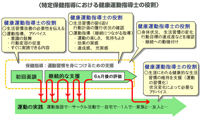  特定保健指導における健康運動指導士の役割