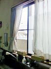写真covid19_05